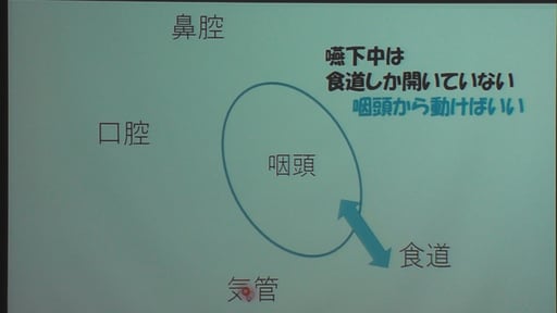 嚥下中は食道しか開いていない。