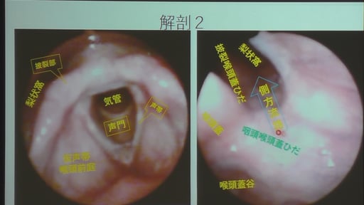 咽頭周辺の名称