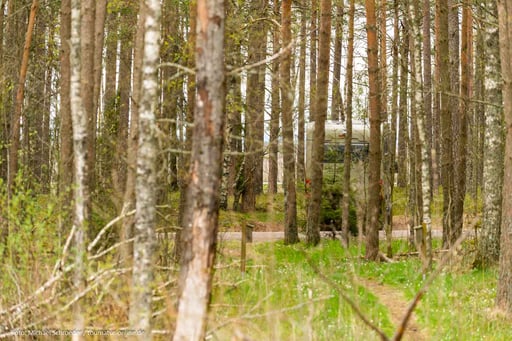verstecktes Plätzchen