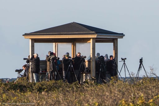 Man ist nicht alleine ....