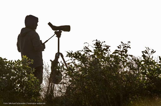 Es gibt auch einsame Orte für Ornithologen