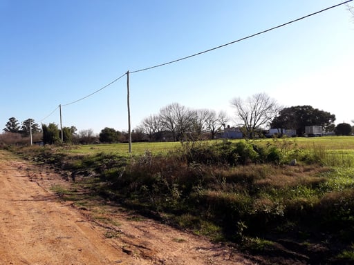 Carina Rossier Inmobiliaria vende lotes en Villa Elisa Entre Ríos.