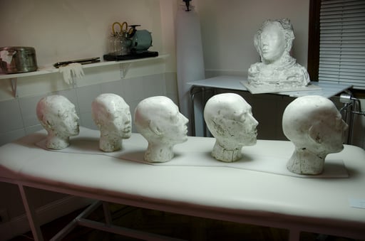 ANIMACION SUSPENDIDA. 2013. 25 x 150 x 30 cm. Yeso