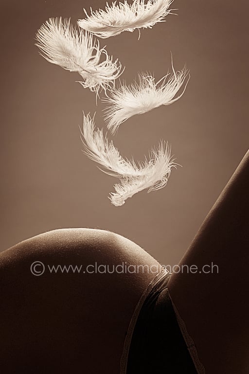 Babybauch Schwangerschaft Fotoshooting Paaraufnahmen Aktaufnahmen Familyfotoshooting