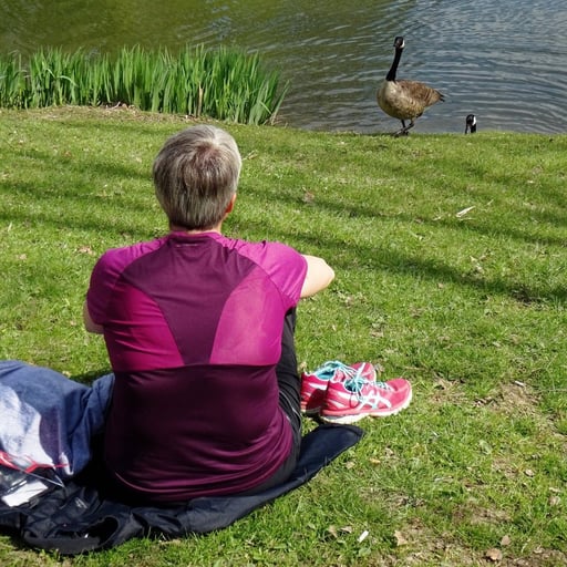 Etape 3 : Du Plessis-Chenet à Villeneuve-Saint-Georges
