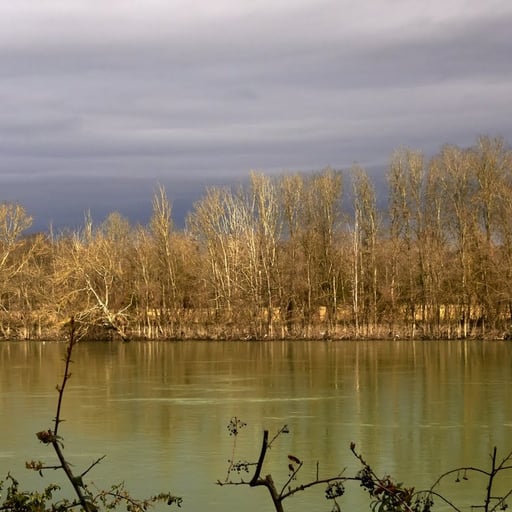 Etape 2 : de Fontainebleau à Melun