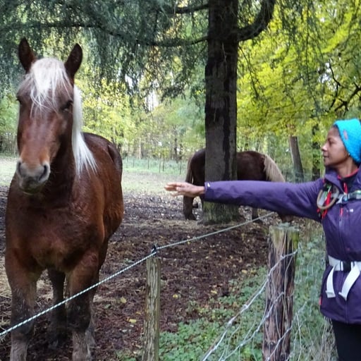 Etape 5 : De Passy au Vésinet