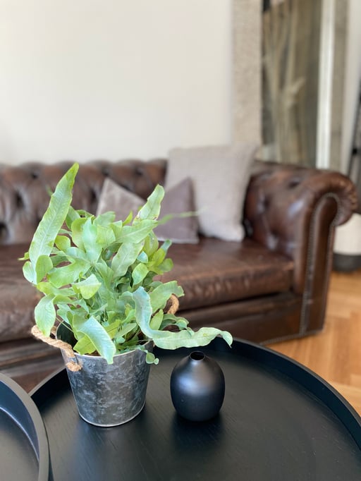 Atelier Einrichtung, Uster