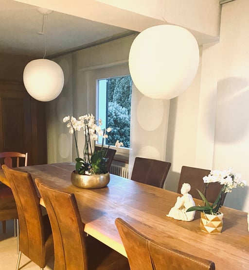 Licht/Lampen Konzept Haus, Greifensee