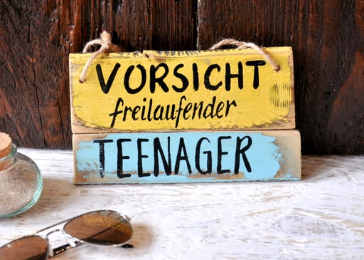 Teenager Nr. 2   ca. 20cm/11cm  Fr. 23.-