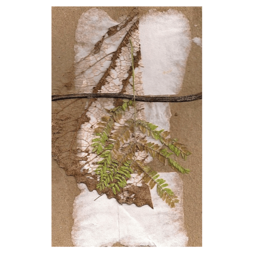 Trapped butterfly series. Nº 1 | Collage on cardboard