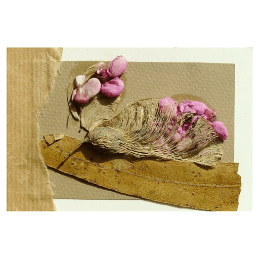 Trapped butterfly series. Nº 11 | Collage on cardboard