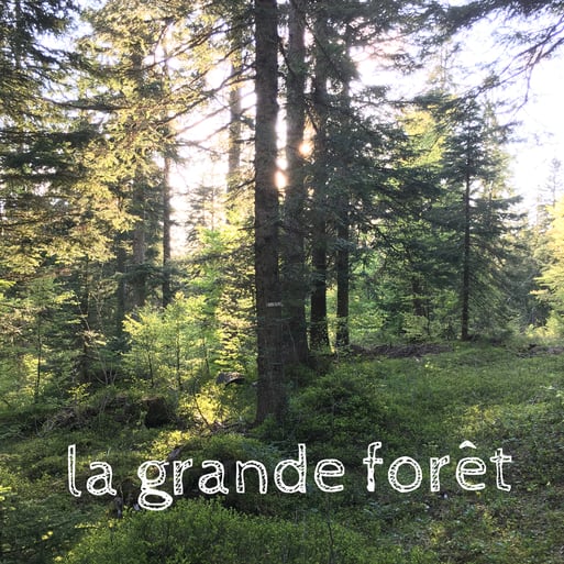 Trek CNV dans le Jura, crêtes et combes jurassiennes