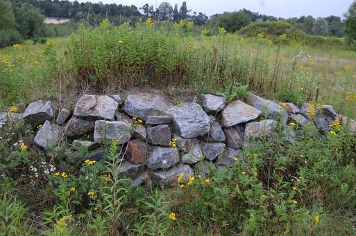 Trockenmauer inmitten trockener, blütenreicher Magerfluren im vom NABU betreuten Biotop Moorstraße in Lohne; Foto: L. Frye 2011