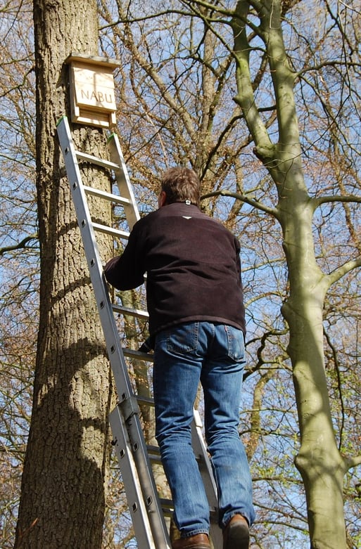 Neue Fledermauskästen im Burgwald Hopen - ein Projekt von NABU und der Stadt Lohne; Foto L. Frye 2011