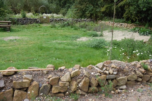 Ausgedehnte Bruchstein-Mauern mit sonnigen Sandfluren auf dem Gelände des Naturschutz-Zentrums Dammer Berge. Durch dieses erfolgreiche Artenhilfsprojekt stieg der vorher schwache Zauneidechsenbestand in den letzten Jahren deutlich an. Foto: L. Frye 2011