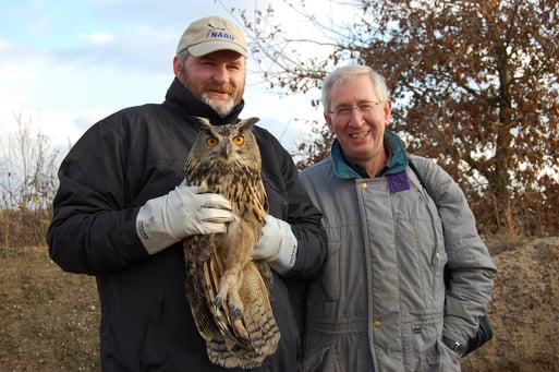 Freilassung eines nach schwerer Erkrankung wieder gesundgepflegten Uhus am Fundort in den Dammer Bergen - ein Beispiel für angewandten Artenschutz -   Uli Heitmann (mit Uhu) und Werner Schiller;    Foto: L. Frye / NABU