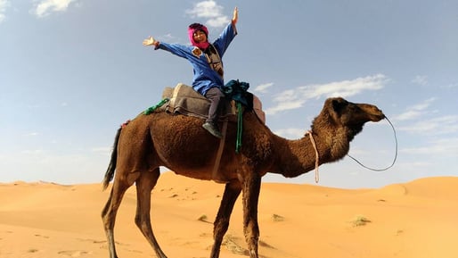 けっこう、背の高いラクダさん。青い街シャエウン在住Mika