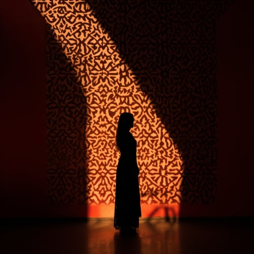 Silhouette einer Frau vor einer roten Wand, im Stil eleganter und komplizierter Muster, leuchtendes Licht, Skulptureninstallation, Kunst und Architektur, nationalgeografisches Foto, UHD-Bild, helles Schwarz und Bernstein