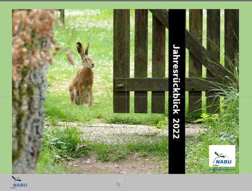 Jahresrückblick 2022