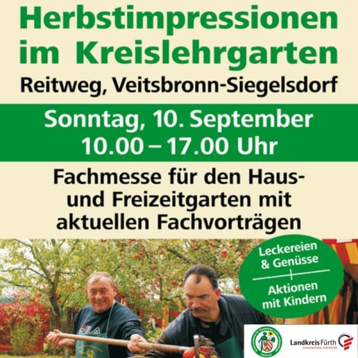 Rauchschwalbe (Foto: Hartl-Andreas, LBV-Bilddatenbank))