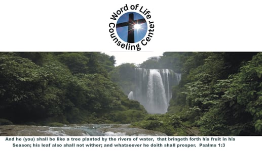 Word of Life Counseling Center