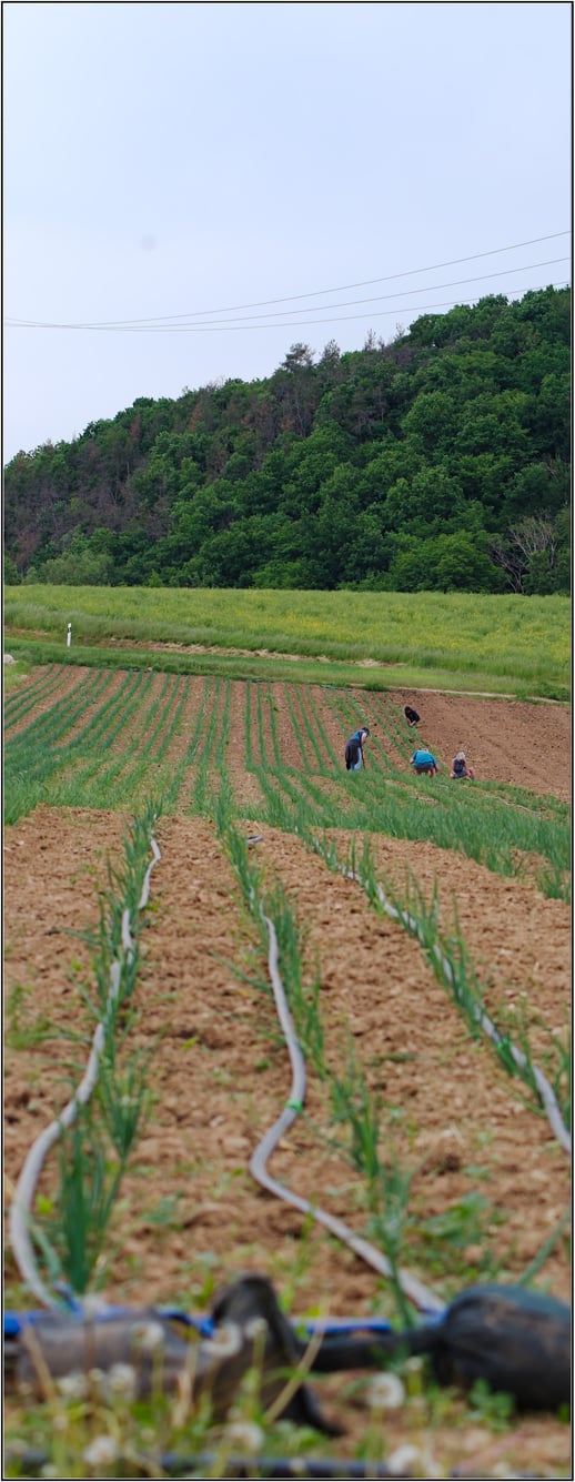 Teilnehmer beim Hacken am Freitag