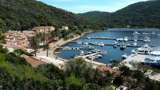 Île de Port-Cros