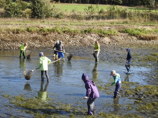 Foto: Regina Baumann