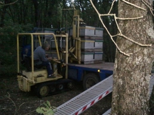 transhumance de ruche