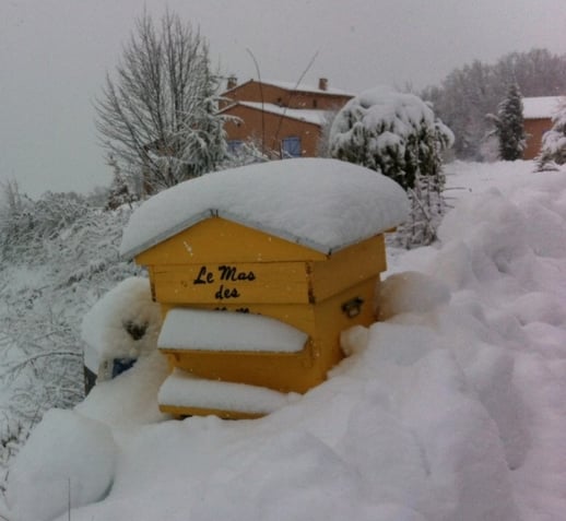 rucher du clocher bleu