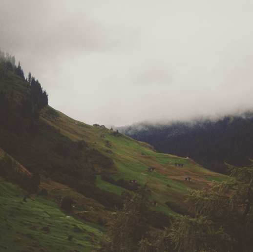 Eine neblige Landschaft, Aufnahme aus einem niedrigen Winkel, bewölkter und bewölkter Himmel, in der Ferne ein Wald, dunkel und düster, verschwommen und körnig