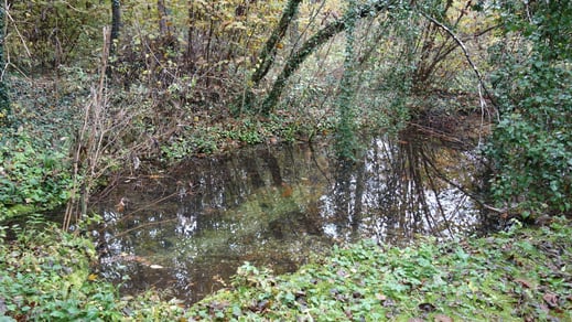 Wir befinden uns mitten im Quellgebiet der Sempt. Das glasklare Wasser auf dem Gelände ist über zahlreiche Tümpel und Bächlein mit einem der Zuflüsse zur Sempt verbunden.