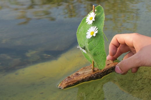 Rindenschiffchen | Foto Birgit Helbig