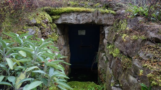 Die alte Tür zum Keller schließt nicht ganz, weshalb die Höhle für Fledermäuse ungeeignet ist. Innen tropft es die ganze Zeit, der Boden ist mit Wasser und Moos bedeckt. Darüber schlängeln sich Wege um den Hügel.