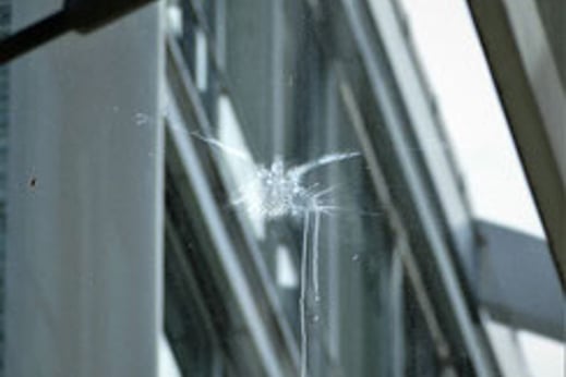 Tödliche Kollision | Foto D. Bornemann