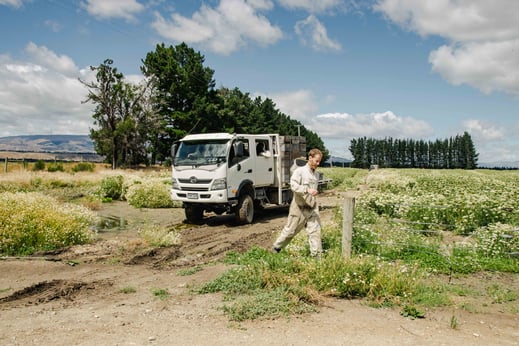 Apiculteur de Central Otago
