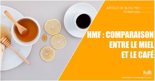 Miniature d'un article de blog de Puri New Zealand : HMF comparaison entre le miel et le café où on peut voir un bol avec du miel et une tasse à café