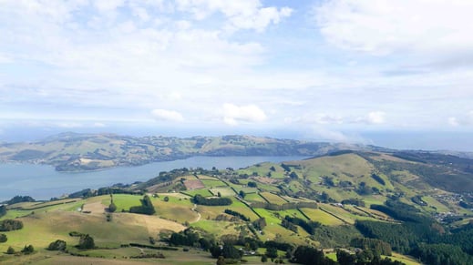Paysage de Nouvelle-Zélande vu du ciel
