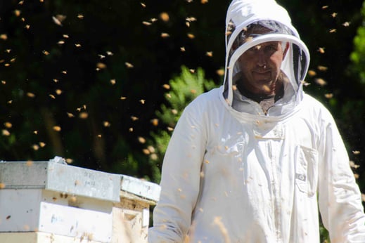 Apiculteur de Nouvelle-Zélande avec ses ruches