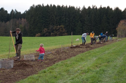 AK Biotoppflege bei eienr Heckenpflanzung   (Foto: R. Dries)