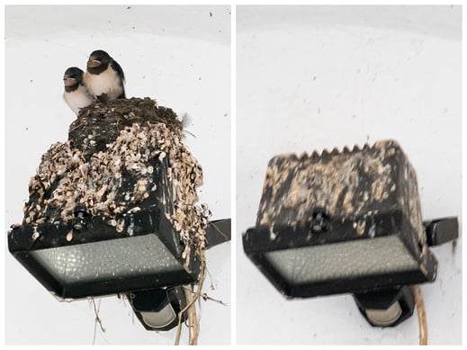 Links: 25.09.2016, Rechts: Mai 2020 (Foto: Juretzky)