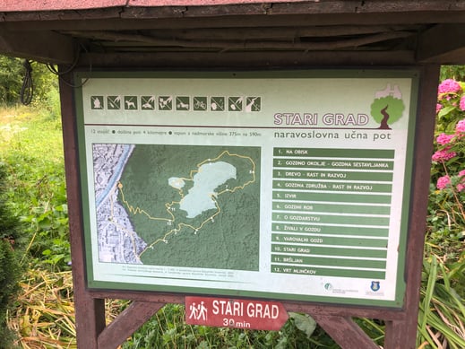 ルートマップ、分岐に名称が書いてあるわけではないので初見では難しい。