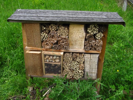 Durch die Gwaagge befülltes Wildbienen-Hotel  auf dem vom Turdus gepflegten Grundstück in Merishausen (Foto: Gwaagge)