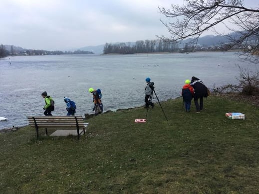 Exkursion "Gefiederte Wintergäste auf dem Untersee und Rhein" (Foto: Gwaagge)