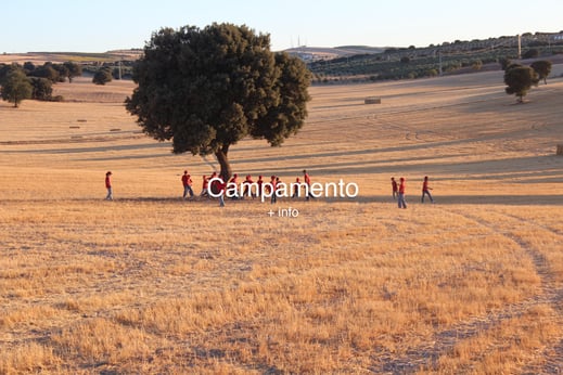 campamento, idiomas, inglés, francés, profesores nativos, overall camp