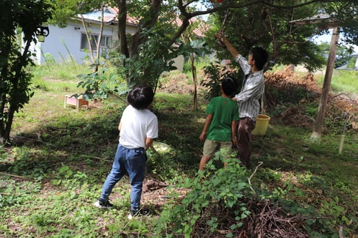 大学校植物探訪２