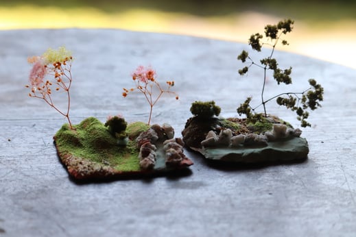 それぞれのこだわりが見られる庭。どこに飾られるのだろうか