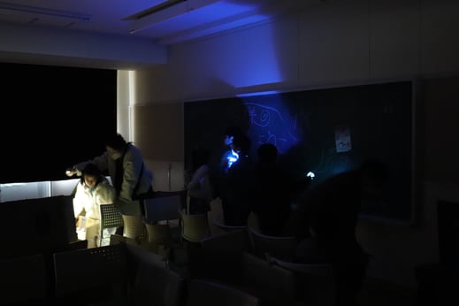 おばけ動物めいろに挑戦中１