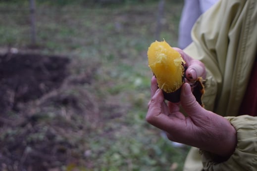 どんどこ焼き芋まつり③